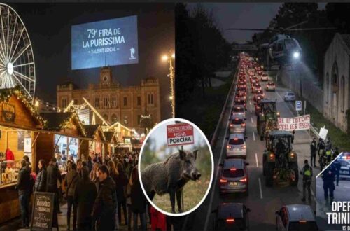 Crònica de la primera Quinzena de Desembre del 2025 de Sant Boi de Llobregat